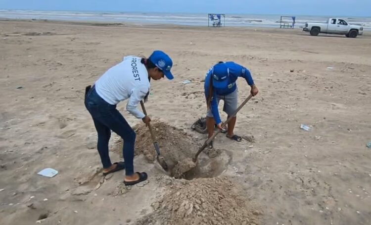 Animales muerto y gripe de influenza en la Playa Bagdad de Matamoros
