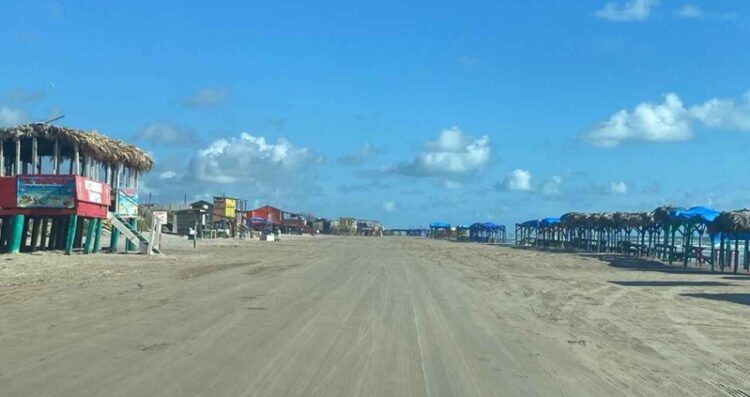 Animales muerto y gripe de influenza en la Playa Bagdad de Matamoros