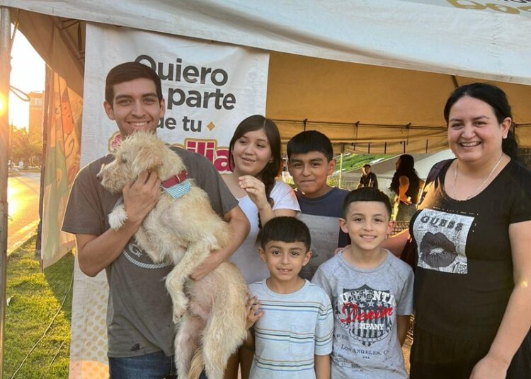 Invitan a la ciudadanía a la ‘Feria de Adopción Canina y Felina’