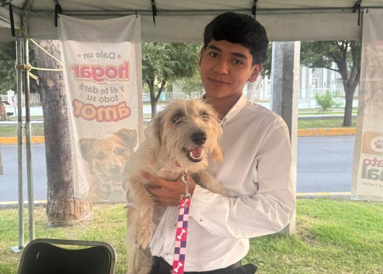 Invitan a la ciudadanía a la ‘Feria de Adopción Canina y Felina’
