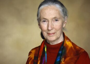 Falleció Jane Goodall, a los 91 años