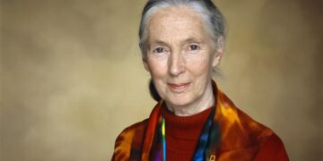 Falleció Jane Goodall, a los 91 años