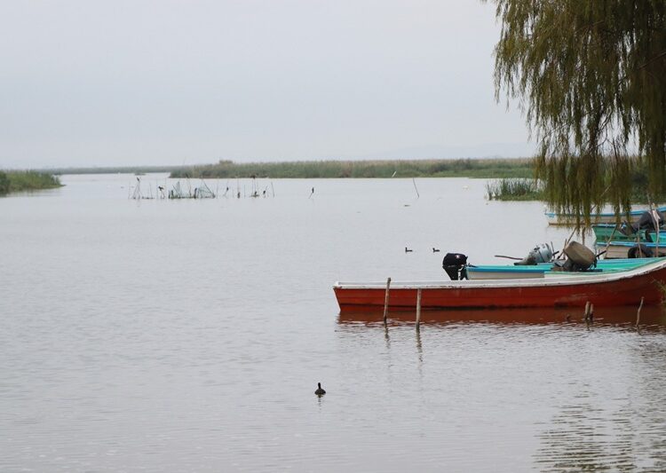 Nivel del sistema lagunario de Champayán no representa riesgo de desbordamiento