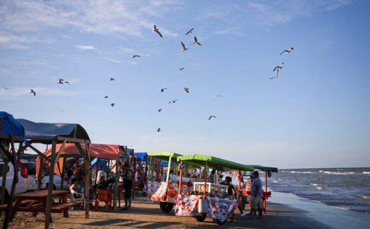 Animales muerto y gripe de influenza en la Playa Bagdad de Matamoros