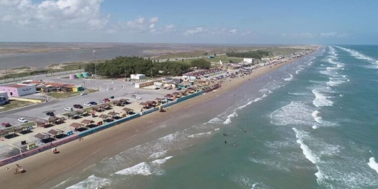 Animales muerto y gripe de influenza en la Playa Bagdad de Matamoros
