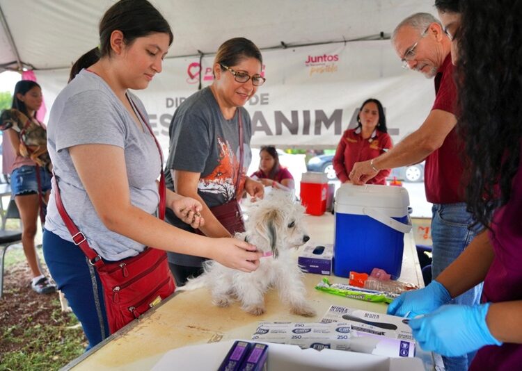 “Presidencia Cerquita de Ti” facilita el acceso a servicios municipales