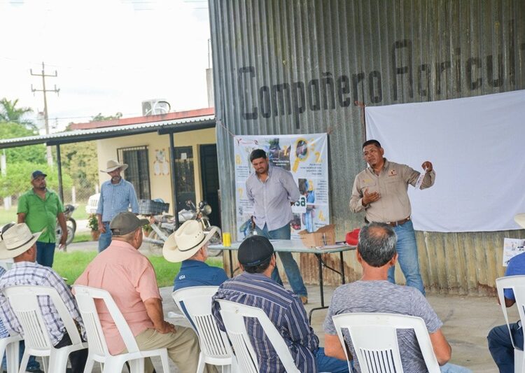 Productores tamaulipecos se suman a la prevención del gusano barrenador
