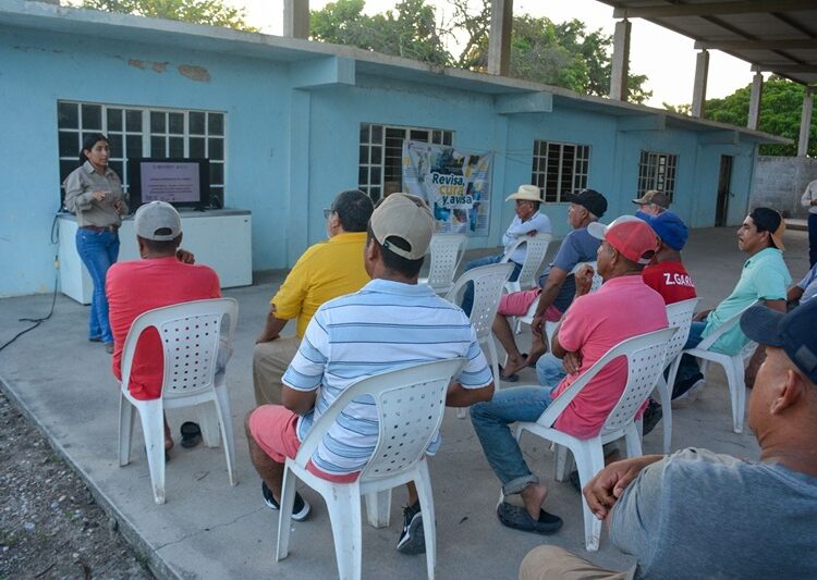 Productores tamaulipecos se suman a la prevención del gusano barrenador