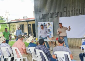Productores tamaulipecos se suman a la prevención del gusano barrenador