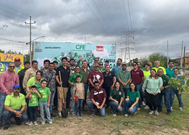 Realiza Gobierno de NLD jornada de reforestación en el Boulevard Las Torres