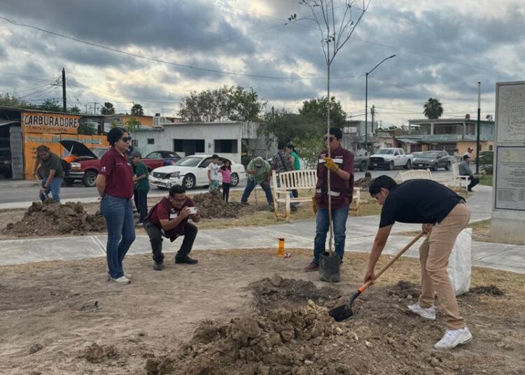 Realiza Gobierno de NLD jornada de reforestación en el Boulevard Las Torres