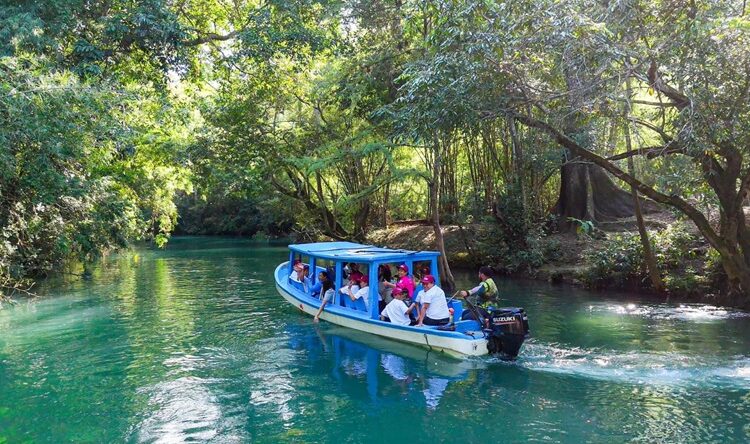 Realizan DIF Tamaulipas y SECTUR el ‘Encuentro de Mujeres Círculo Violeta 2025’