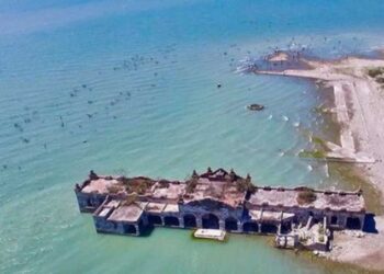 Pide diputada garantizar transporte público digno en Victoria