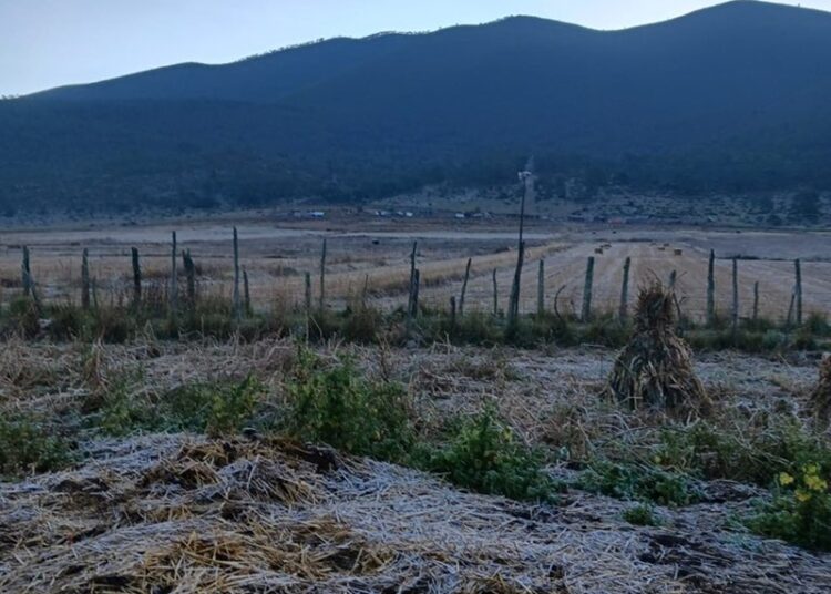 Reportan primera helada de la temporada en Miquihuana