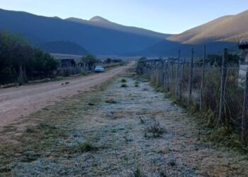 Reportan primera helada de la temporada en Miquihuana