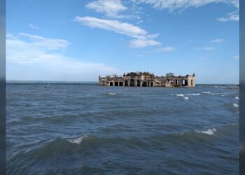 Alerta Katalyna por violencia que pone en riesgo a mujeres en Tamaulipas