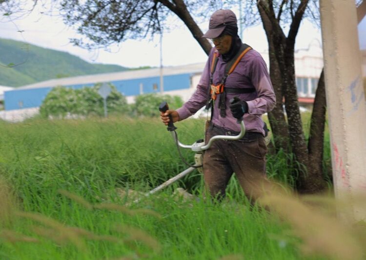 Supervisa alcalde trabajos de limpieza en vialidades