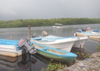 Reduce INE integración del IETAM a 5 miembros del Consejo General