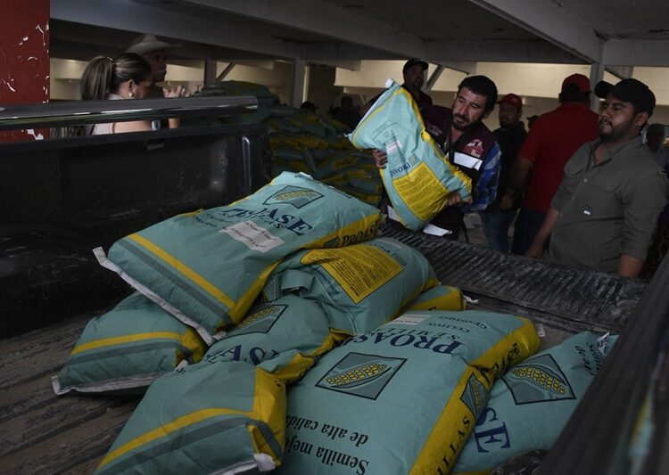 Alcanza Tamaulipas cifras históricas de apoyo al campo con inversión federal y estatal