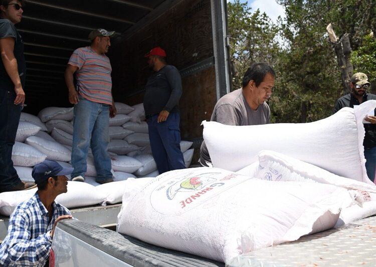 Alcanza Tamaulipas cifras históricas de apoyo al campo con inversión federal y estatal