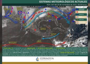 “Reforma al artículo 76 Bis fortalece los derechos de usuarios de plataformas digitales”: Carlos Canturosas