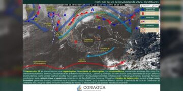 “Reforma al artículo 76 Bis fortalece los derechos de usuarios de plataformas digitales”: Carlos Canturosas