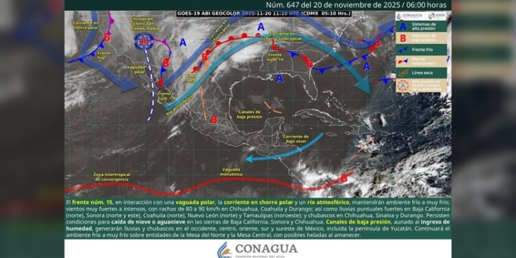 “Reforma al artículo 76 Bis fortalece los derechos de usuarios de plataformas digitales”: Carlos Canturosas