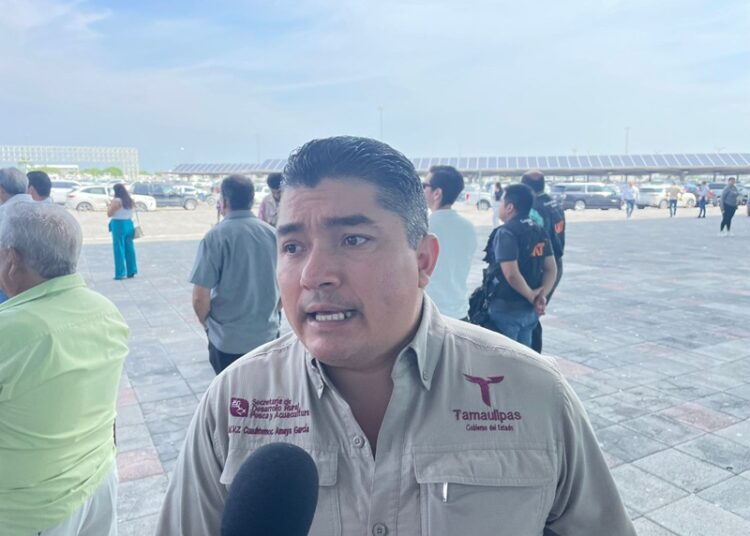 Apuesta Tamaulipas a la ganadería con inversión millonaria