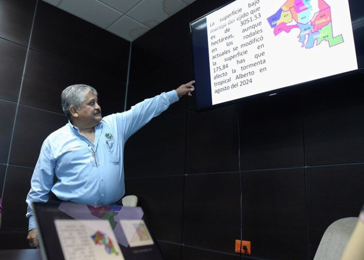 Consolidan esfuerzos por la conservación del patrimonio forestal