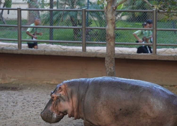 “ ‘Corriendo por la Fauna’, fue un éxito total” : CPBT