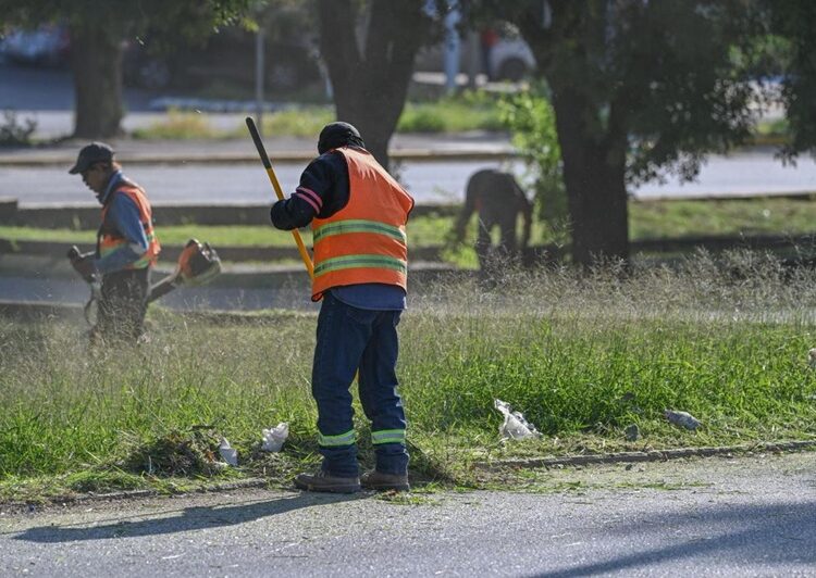 Embellece Municipio la Capital para temporada navideña