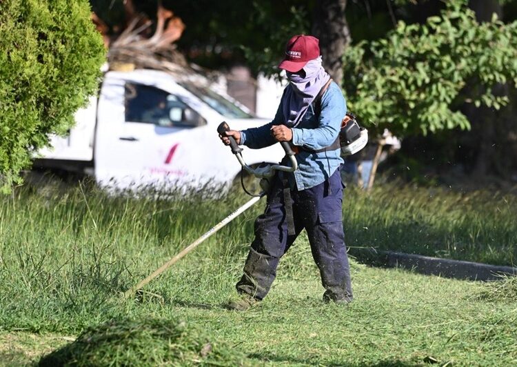 Embellece Municipio la Capital para temporada navideña