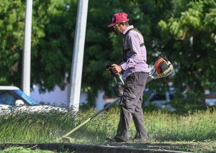 Embellece Municipio la Capital para temporada navideña