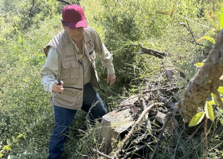 Fortalecen SEDUMA Y CONAFOR estrategia para preservar riqueza ambiental de Tamaulipas