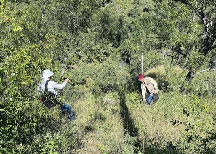 Fortalecen SEDUMA Y CONAFOR estrategia para preservar riqueza ambiental de Tamaulipas