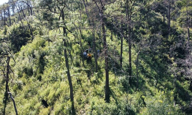 Fortalecen SEDUMA Y CONAFOR estrategia para preservar riqueza ambiental de Tamaulipas