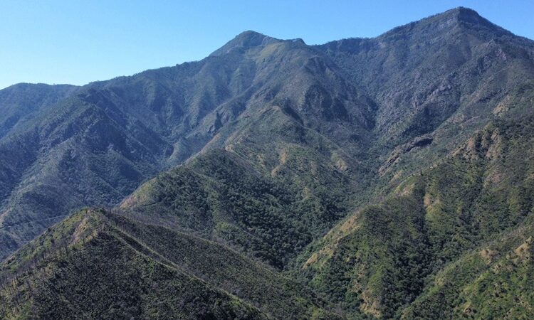 Fortalecen SEDUMA Y CONAFOR estrategia para preservar riqueza ambiental de Tamaulipas