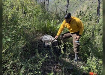 Fortalecen SEDUMA Y CONAFOR estrategia para preservar riqueza ambiental de Tamaulipas