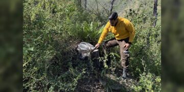 Fortalecen SEDUMA Y CONAFOR estrategia para preservar riqueza ambiental de Tamaulipas