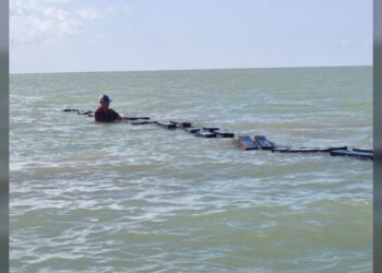 Garantiza supervisión técnica buenas prácticas acuícolas en Tamaulipas