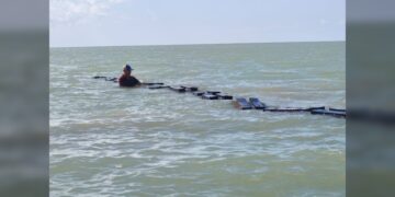 Garantiza supervisión técnica buenas prácticas acuícolas en Tamaulipas