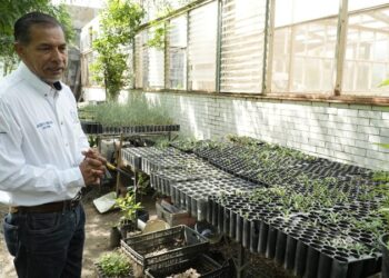 Formará la UAT especialistas en tecnologías emergentes en la educación