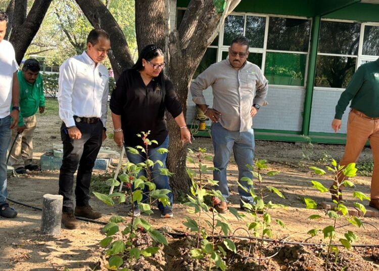 Impulsa Gobierno Municipal reforestación y proyectos ambientales en el Tec de NLD