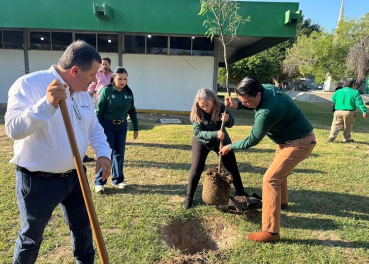 Impulsa Gobierno Municipal reforestación y proyectos ambientales en el Tec de NLD