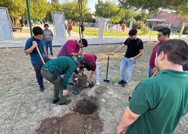 Impulsa Gobierno Municipal reforestación y proyectos ambientales en el Tec de NLD