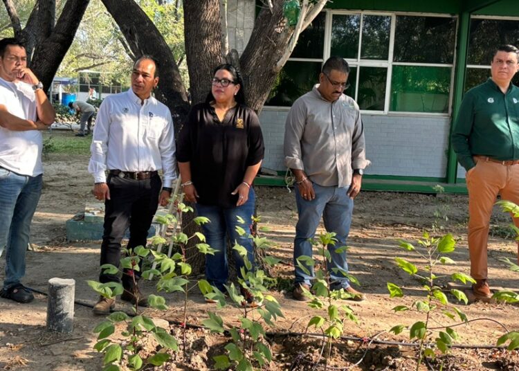 Impulsa Gobierno Municipal reforestación y proyectos ambientales en el Tec de NLD