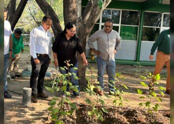 Impulsa Gobierno Municipal reforestación y proyectos ambientales en el Tec de NLD