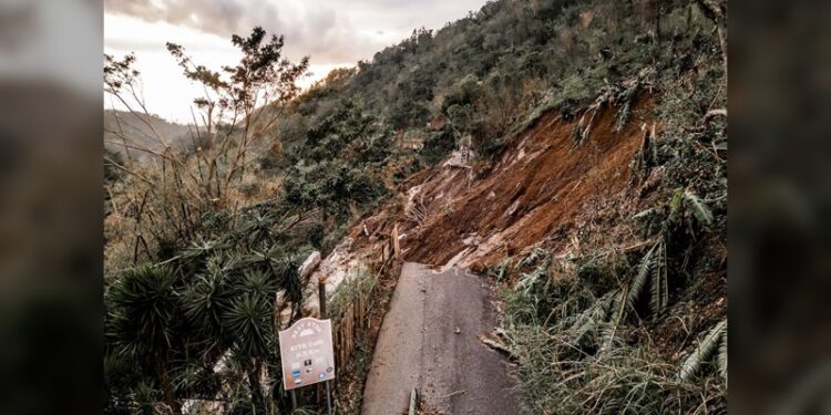 Toque de queda en áreas más afectadas de Jamaica por ‘Melissa’