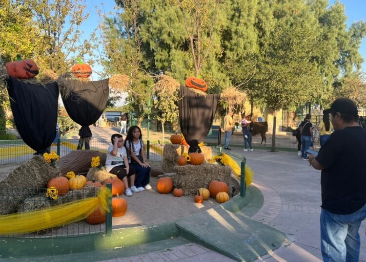 Más de 2 mil personas disfrutan del “aZoostate” en el Zoológico de NLD