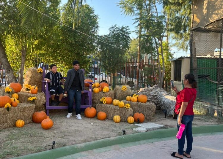 Más de 2 mil personas disfrutan del “aZoostate” en el Zoológico de NLD